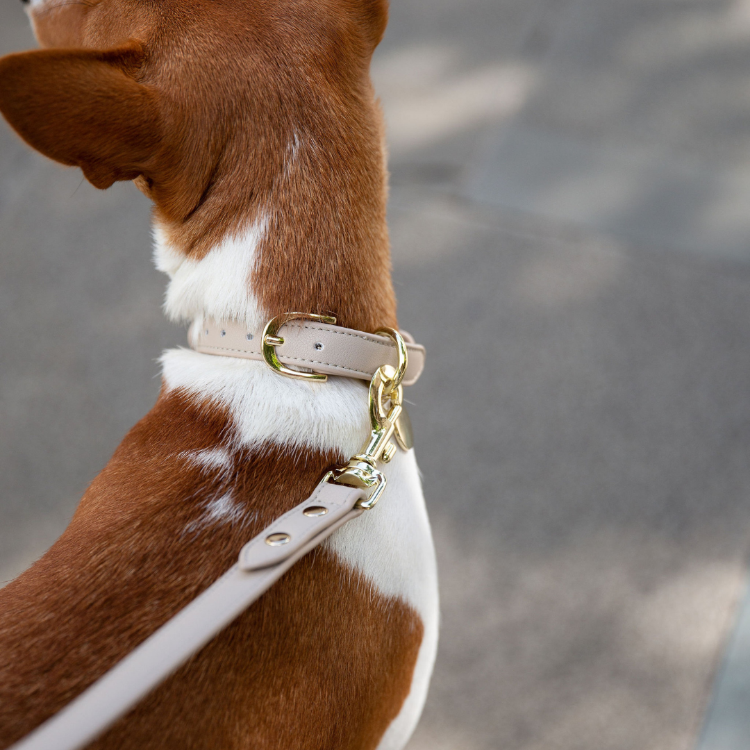 Collar Beige
