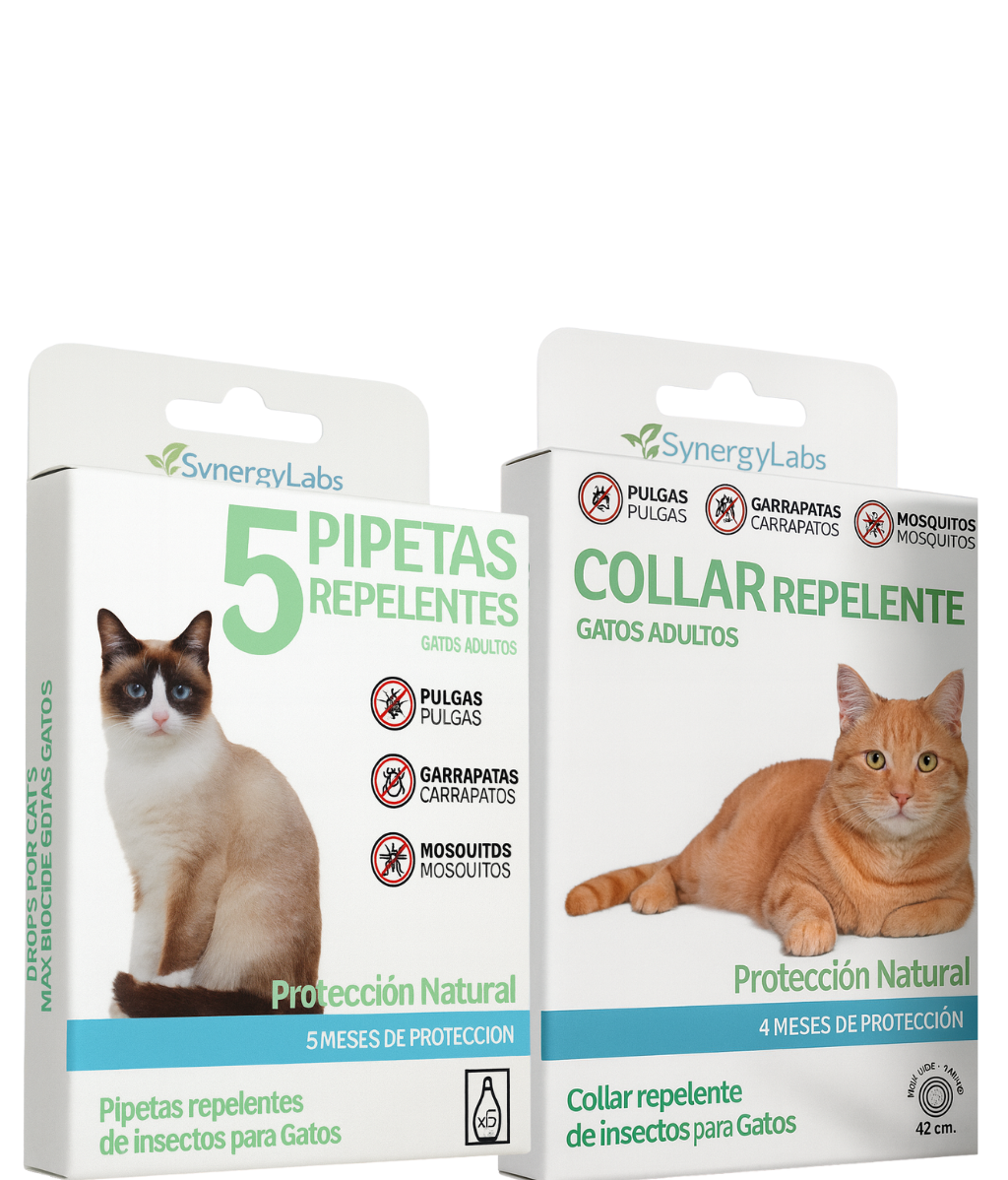 Collar repelente y pipetas naturales para gatos