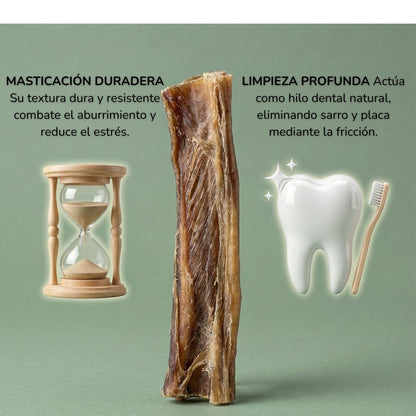Caravaca de Ciervo (Mordedor Rico en Proteína)