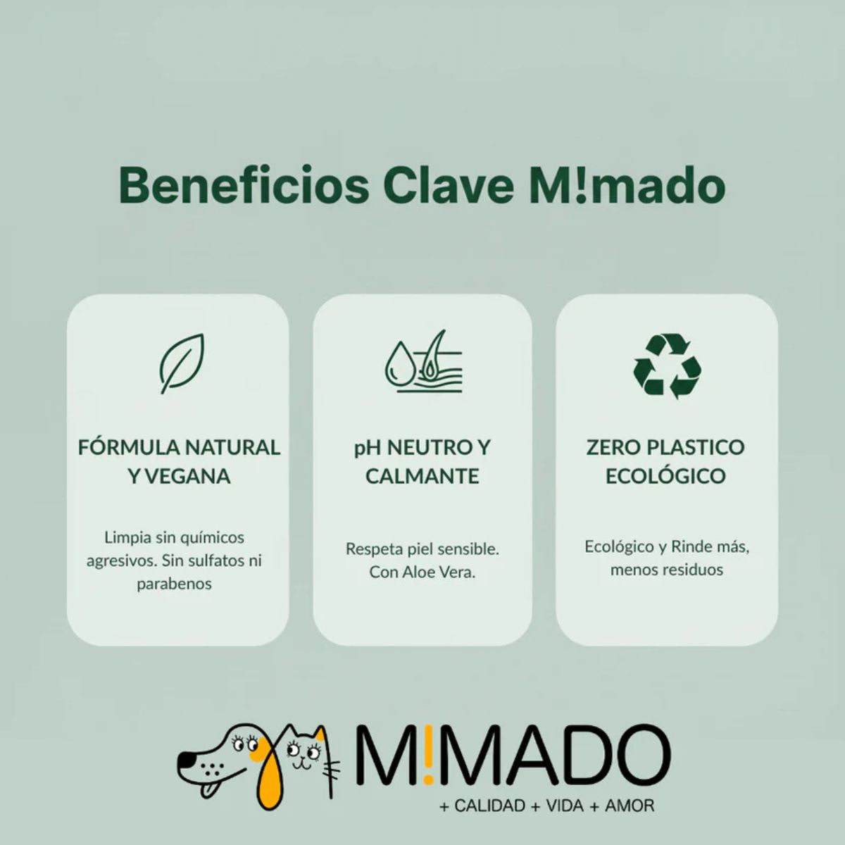 Champú Sólido con Acondicionador Aloe Vera (Piel Sensible)