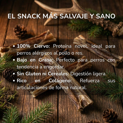 Caravaca de Ciervo (Mordedor Rico en Proteína)