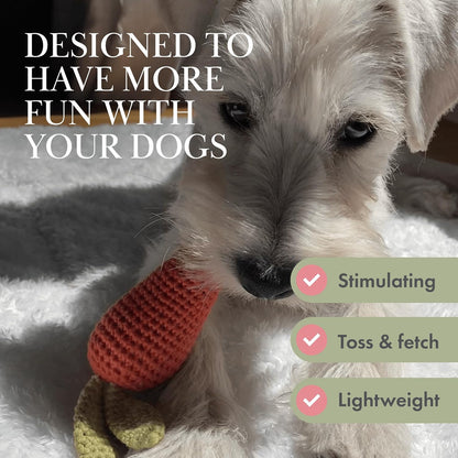 Pack 3 Juguetes Veggie Orgánicos para Perros
