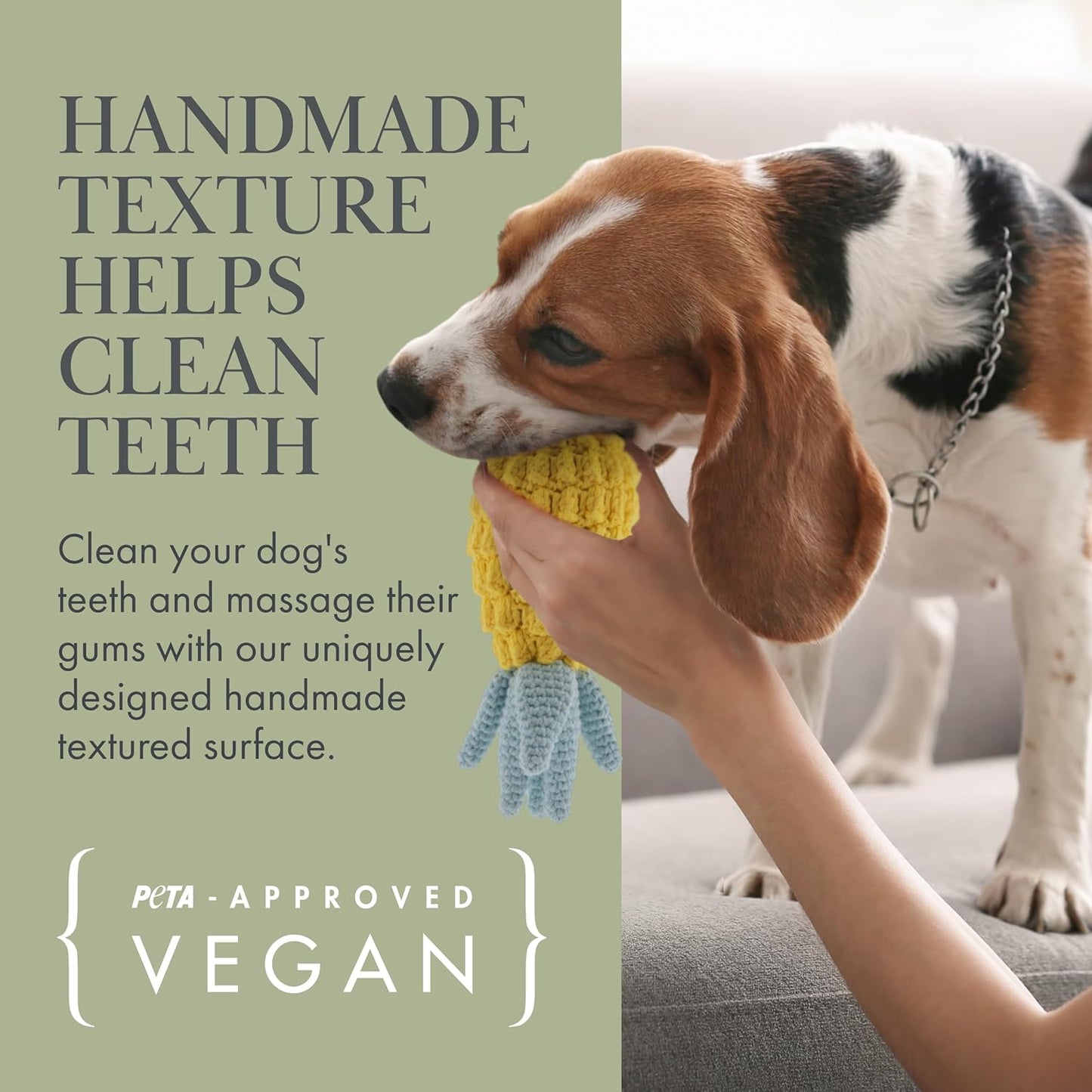 Pack 3 Juguetes Veggie Orgánicos para Perros
