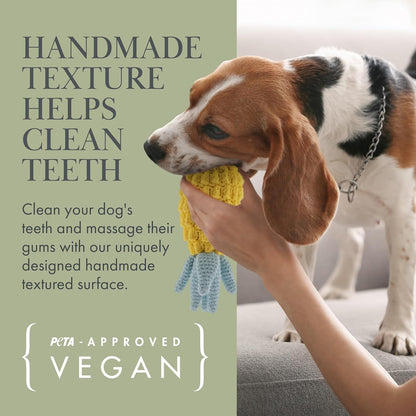 Pack 3 Juguetes Veggie Orgánicos para Perros