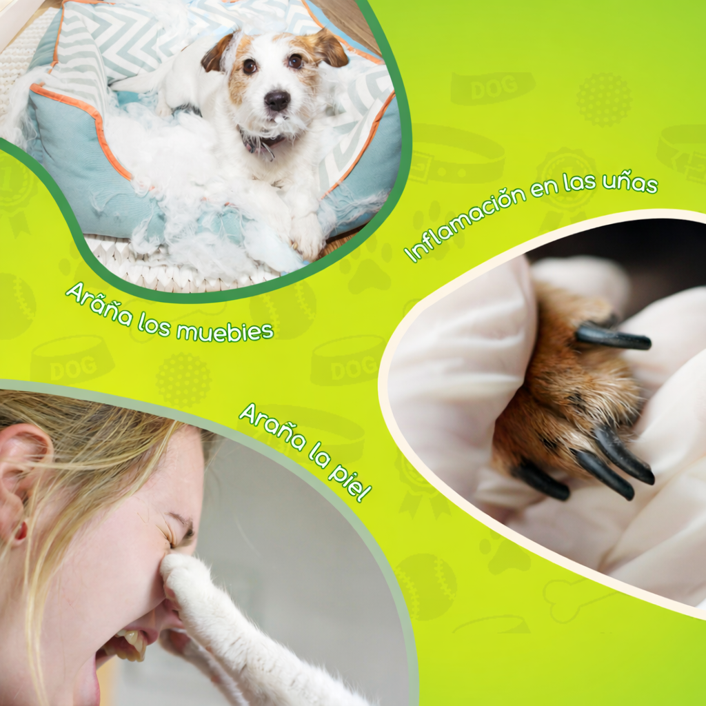 Cortaúñas para perros y gatos con lima integrada Nobleza