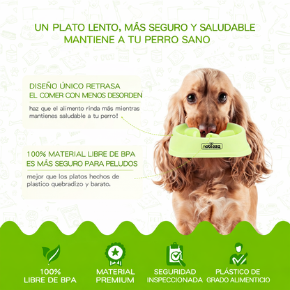 Comedero antivoracidad verde Nobleza para perros