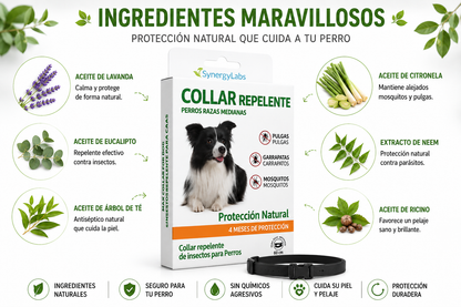 Collar repelente natural para perros medianos