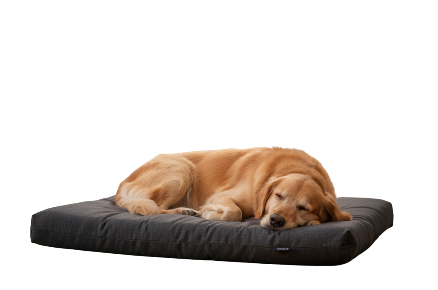 Colchoneta Edgar Sand talla grande 95x75 cm para perros