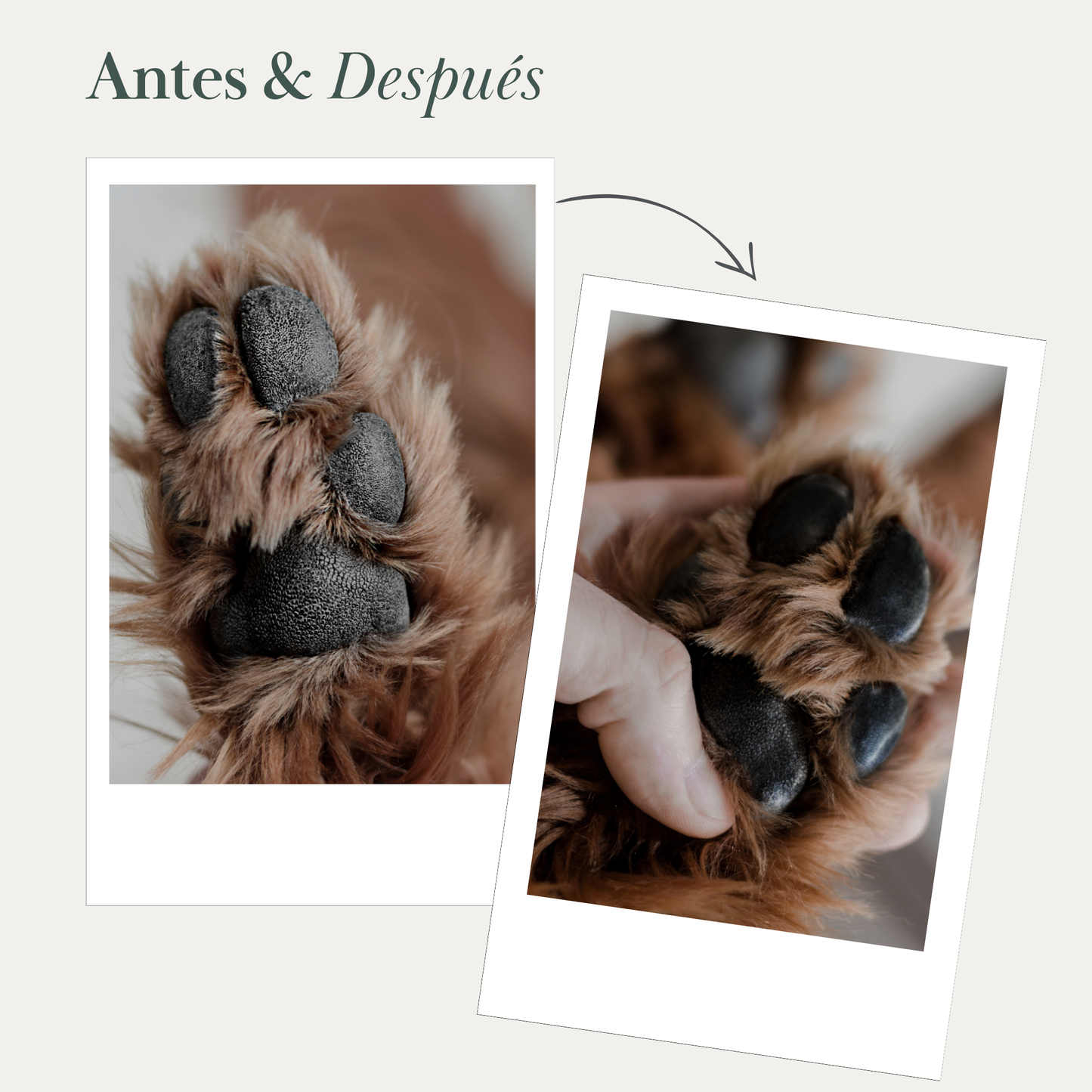 Detalle del Bálsamo para Nariz y Almohadillas de Perro - Nina Woof