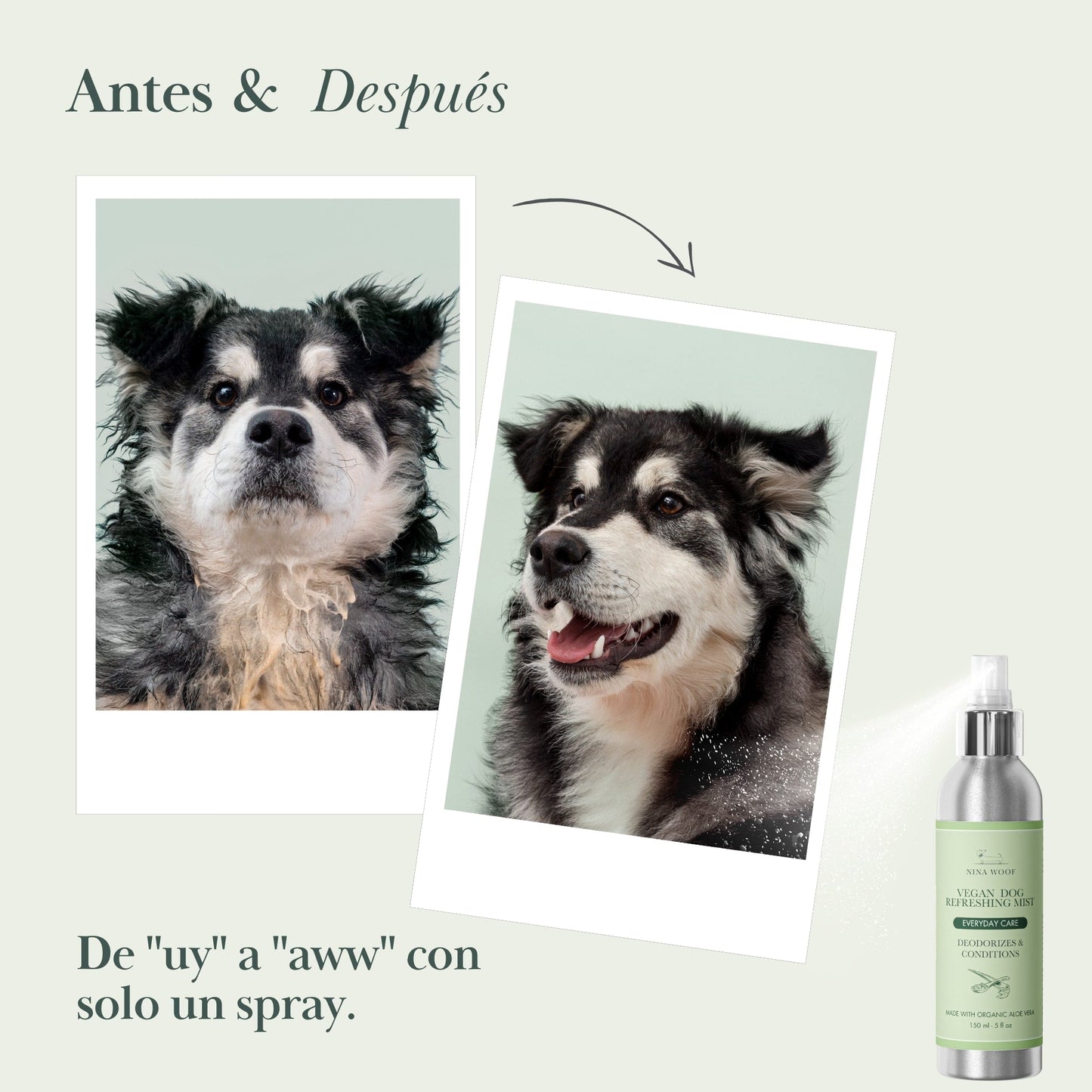 Spray Desodorizante Vegano para Perros