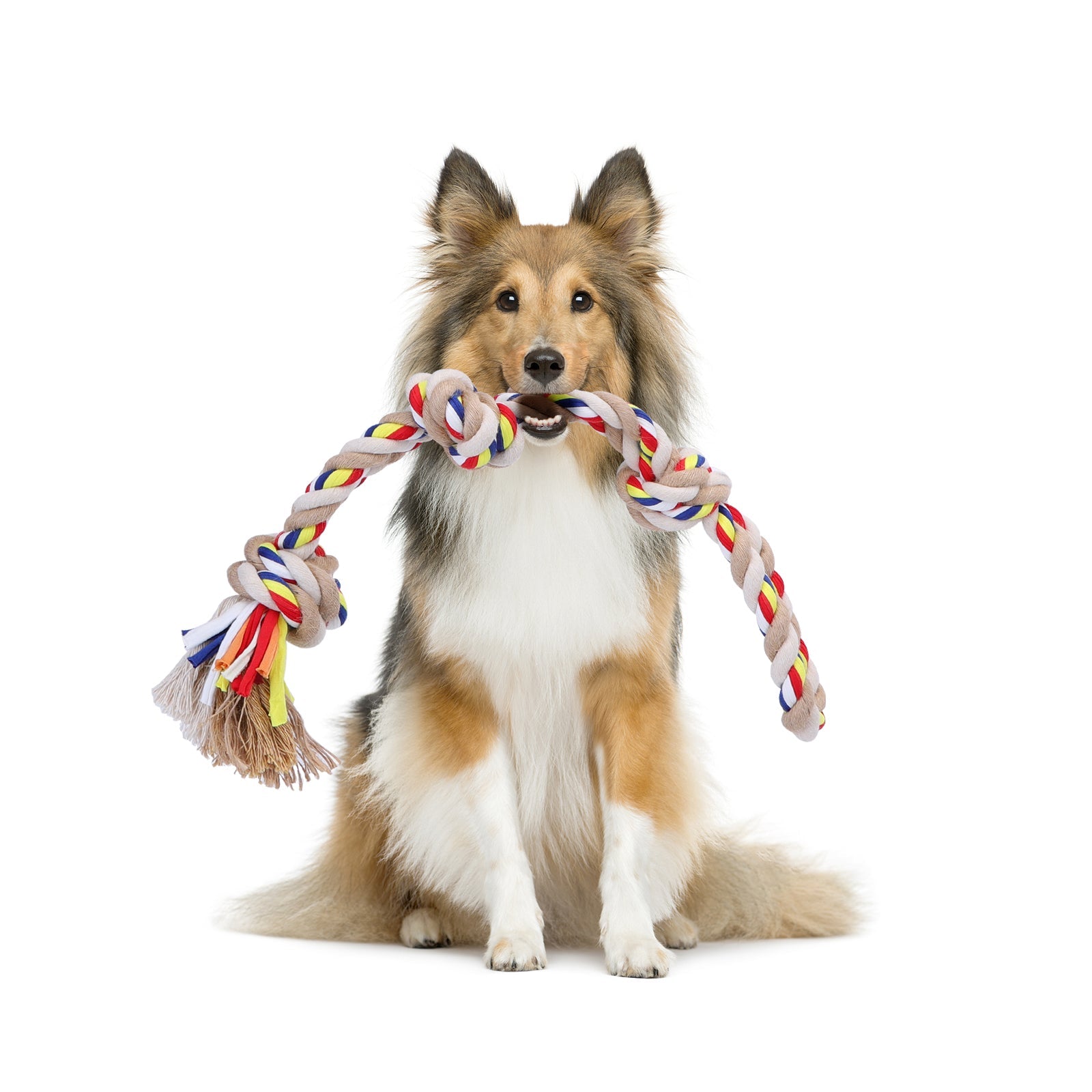 Juguete de cuerda dental Nobleza para perros grandes