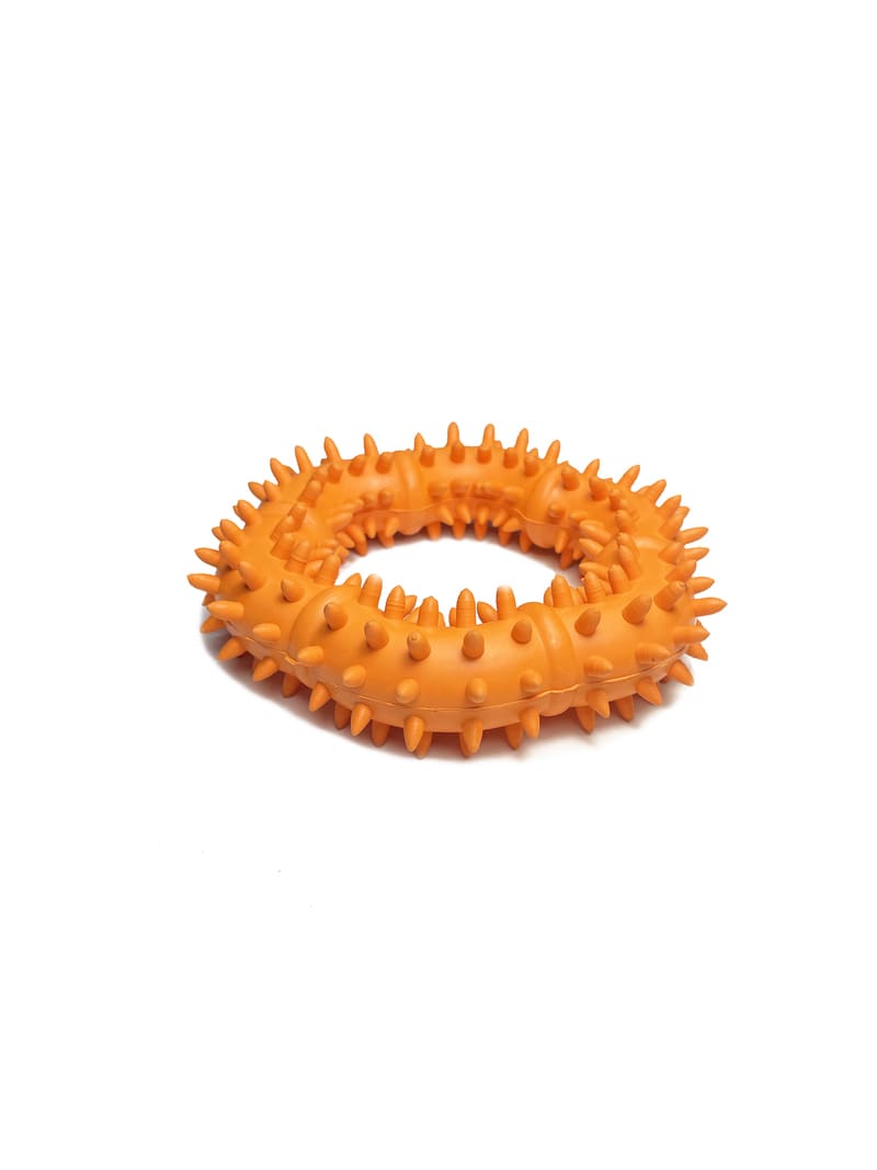 Dental Ring (Aro Limpiadientes)