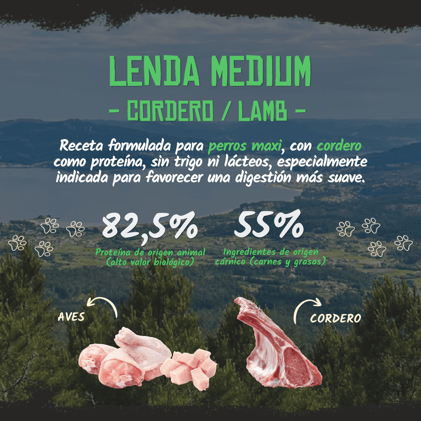 Lenda Cordero Maxi