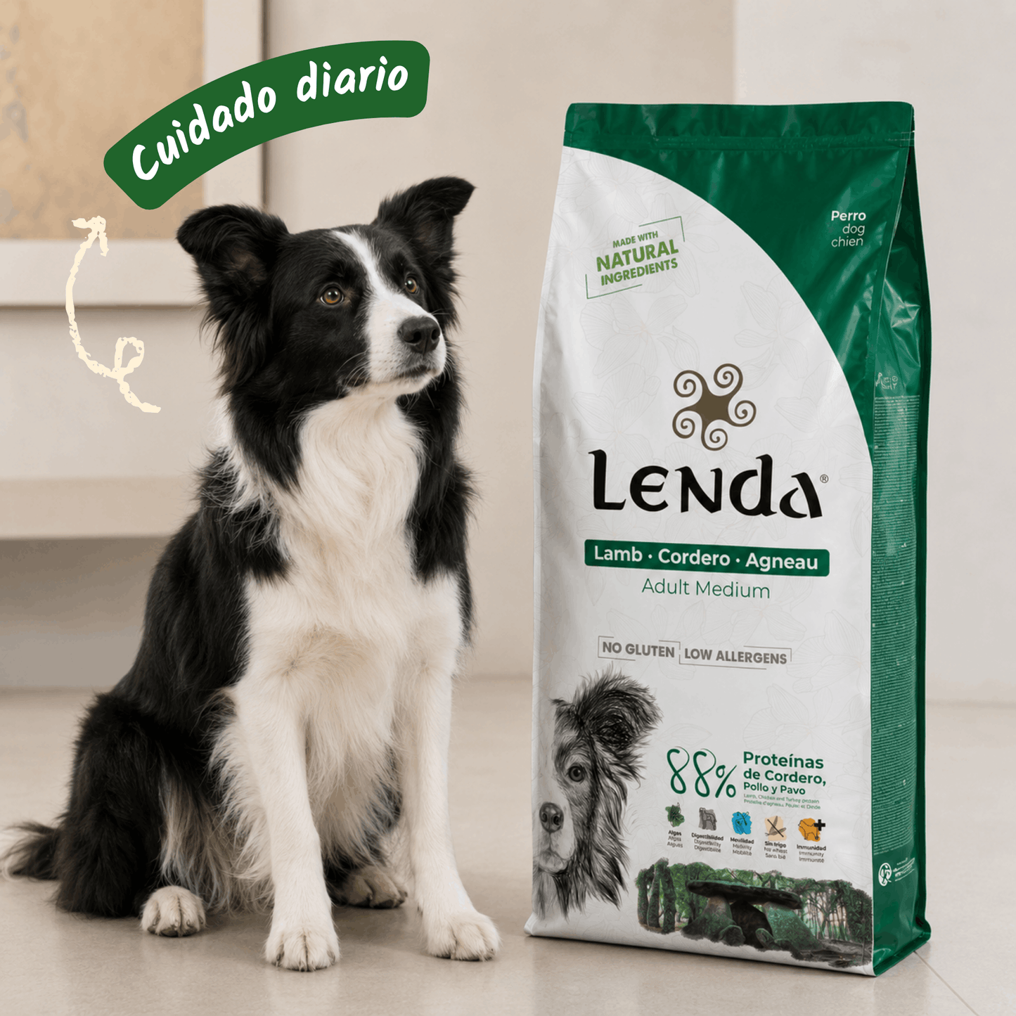 Lenda Cordero