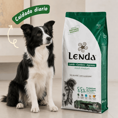 Lenda Cordero