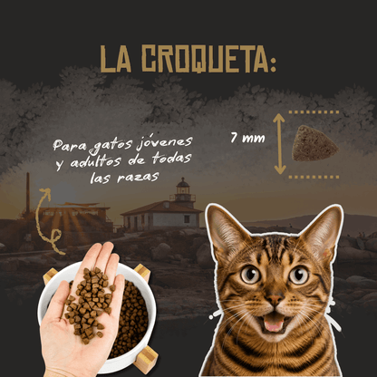 Lenda Sin Cereales Gato Farm Poultry - Aves