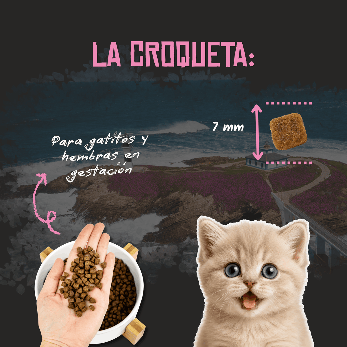 Lenda Sin Cereales Kitten Aves y Pescado