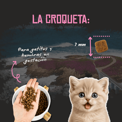 Lenda Sin Cereales Kitten Aves y Pescado