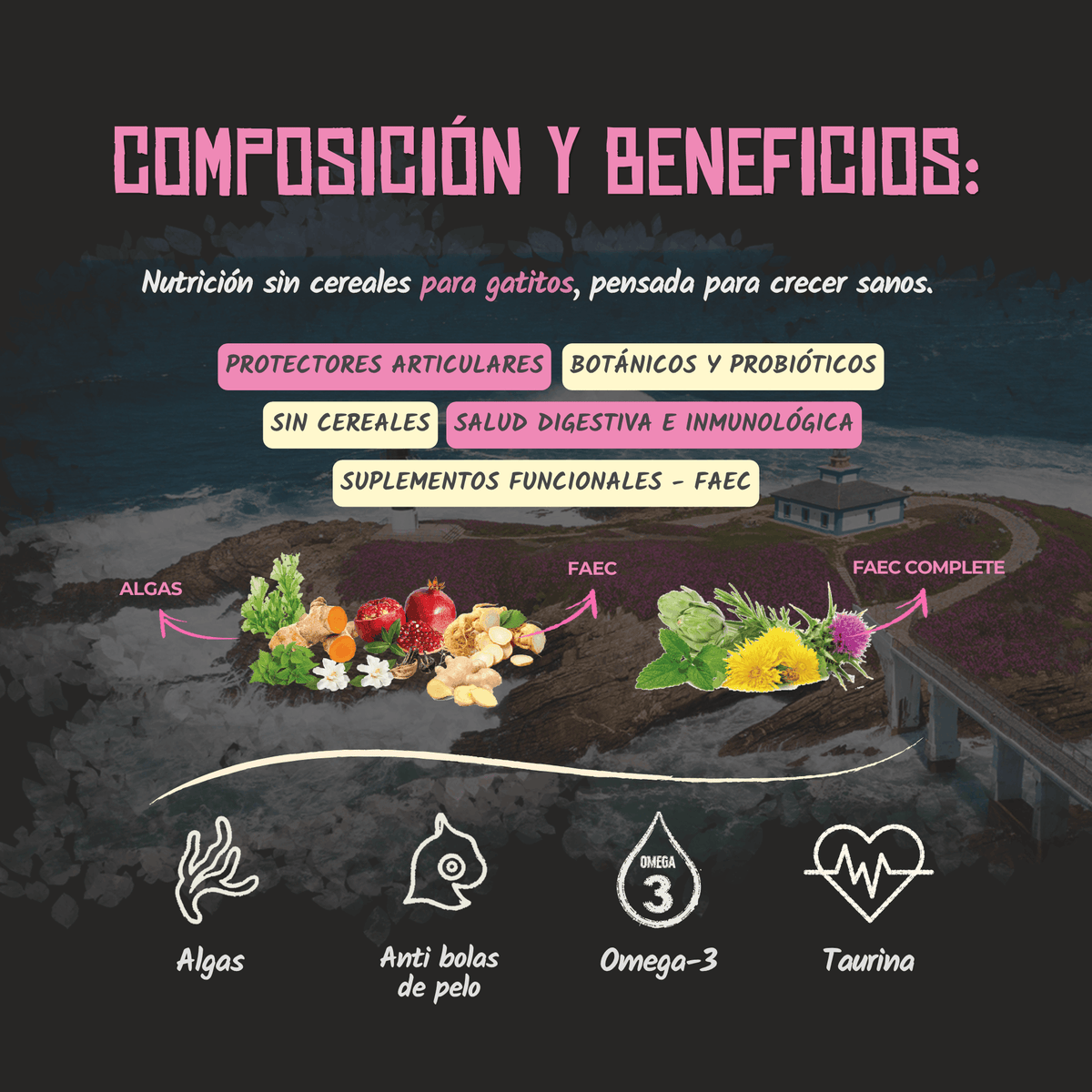 Lenda Sin Cereales Kitten Aves y Pescado