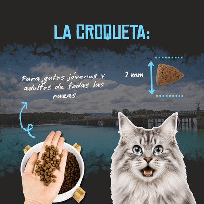 Lenda Sin Cereales Gato Light & Sterilized - Aves, Salmón y Krill