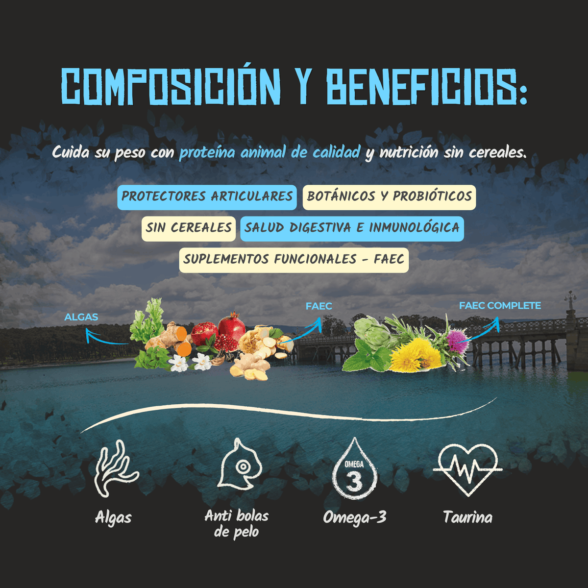 Lenda Sin Cereales Gato Light & Sterilized - Aves, Salmón y Krill