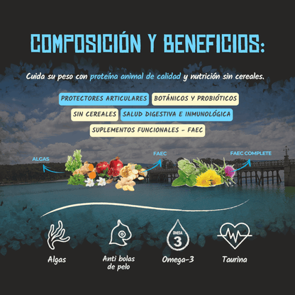 Lenda Sin Cereales Gato Light & Sterilized - Aves, Salmón y Krill