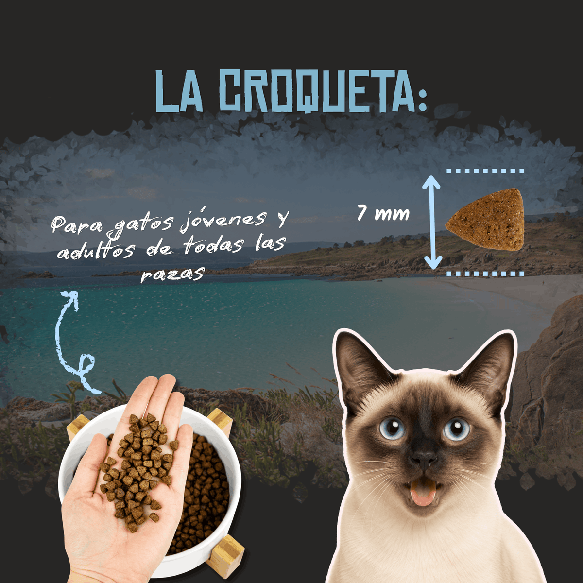 Lenda Sin Cereales Gato Sensitive & Sterilized - Pescado Blanco