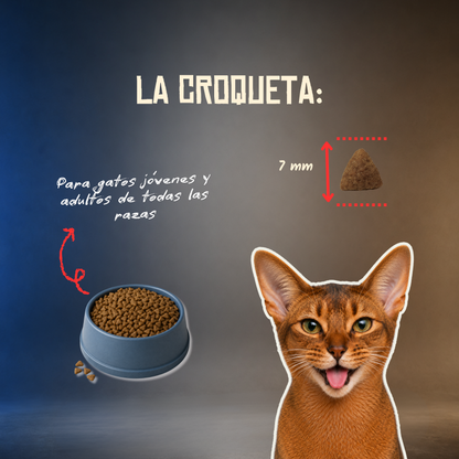 Lenda Grain Free Gato Monoproteico - Cerdo