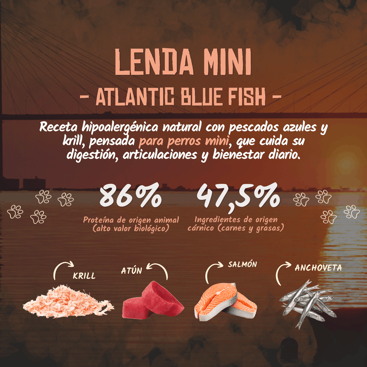 Lenda Mini Atlantic Blue Fish