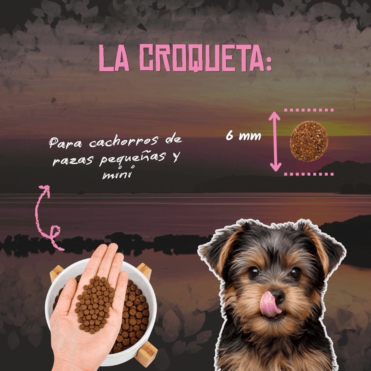 Lenda Mini Puppy First Bites
