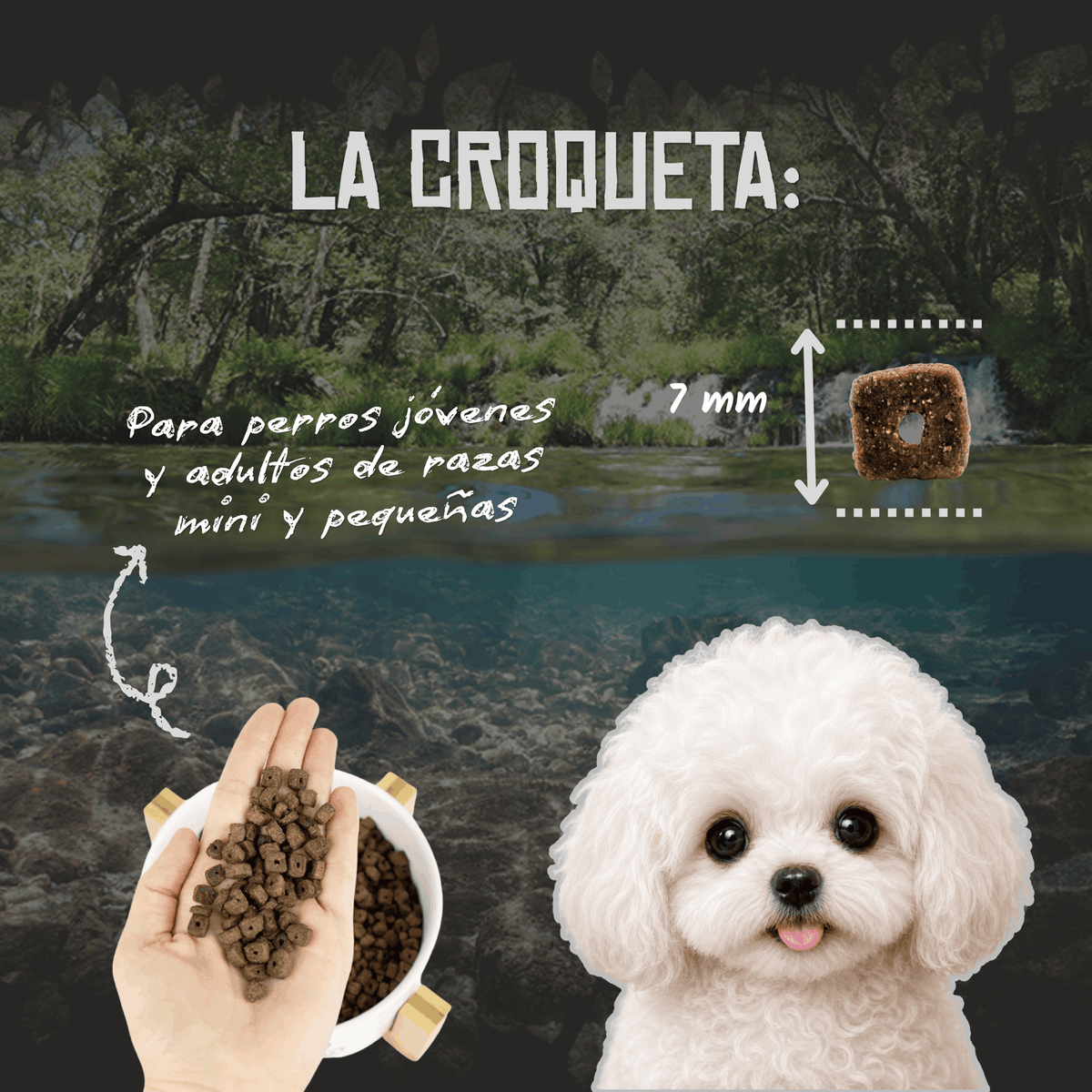 Lenda Mini Hypoallergenic Skin & Coat GF