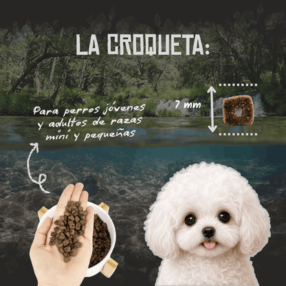 Lenda Mini Hypoallergenic Skin & Coat GF