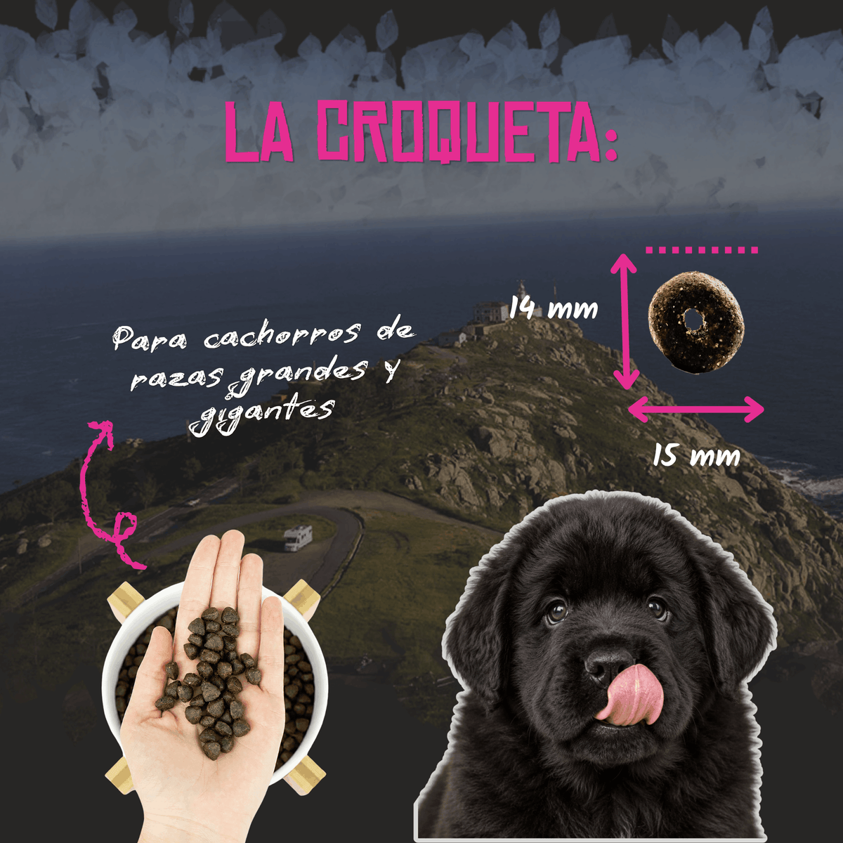Lenda Puppy Maxi