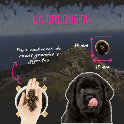 Lenda Puppy Maxi