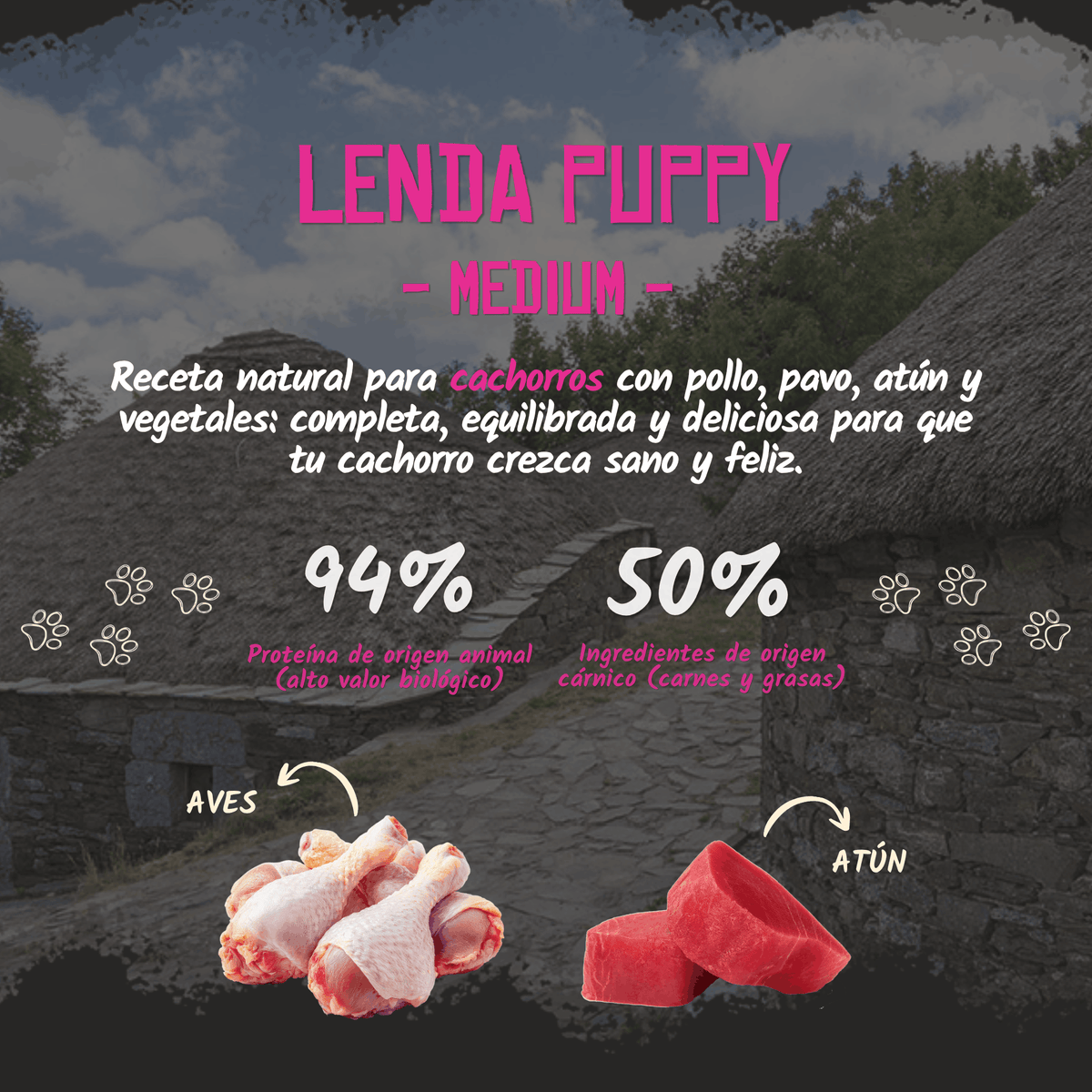 Lenda Puppy