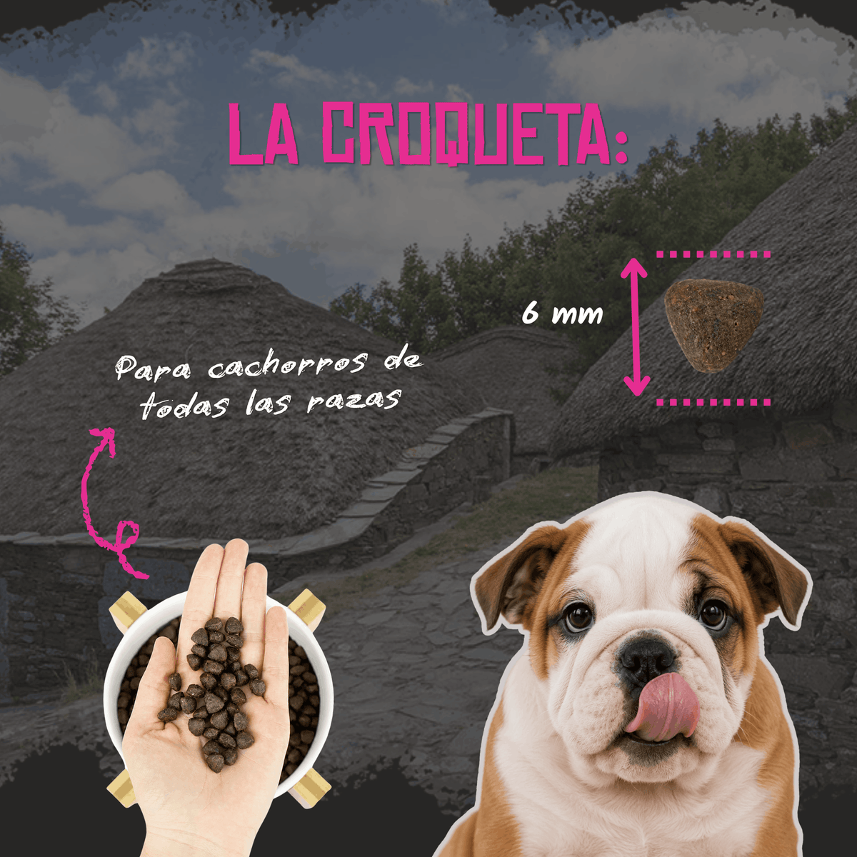 Lenda Puppy