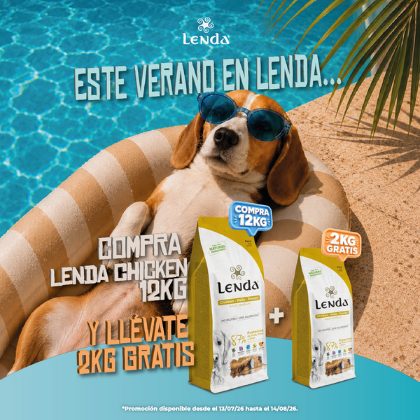 Lenda Chicken Medium - Promoción 12kg + 2kg gratis