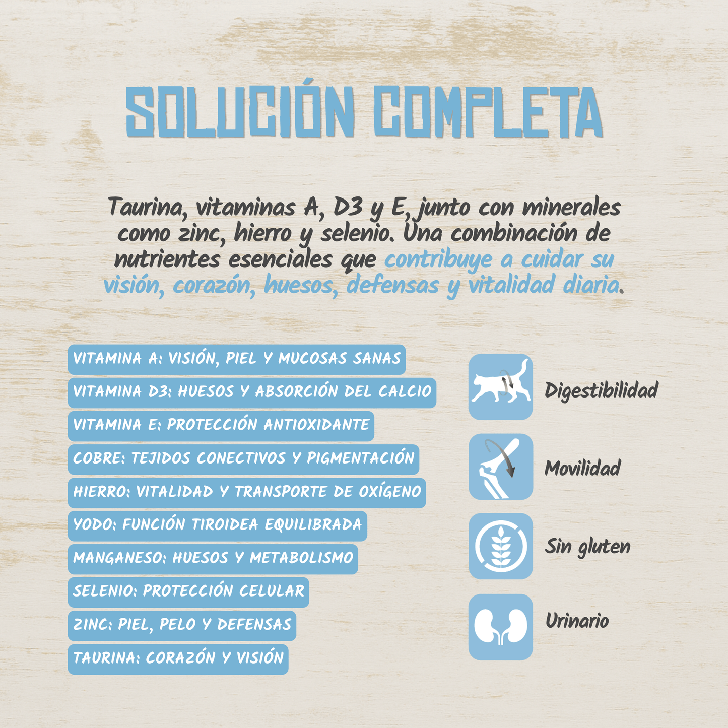 Lenda Paté Gato Cerdo con Pavo y Arándanos