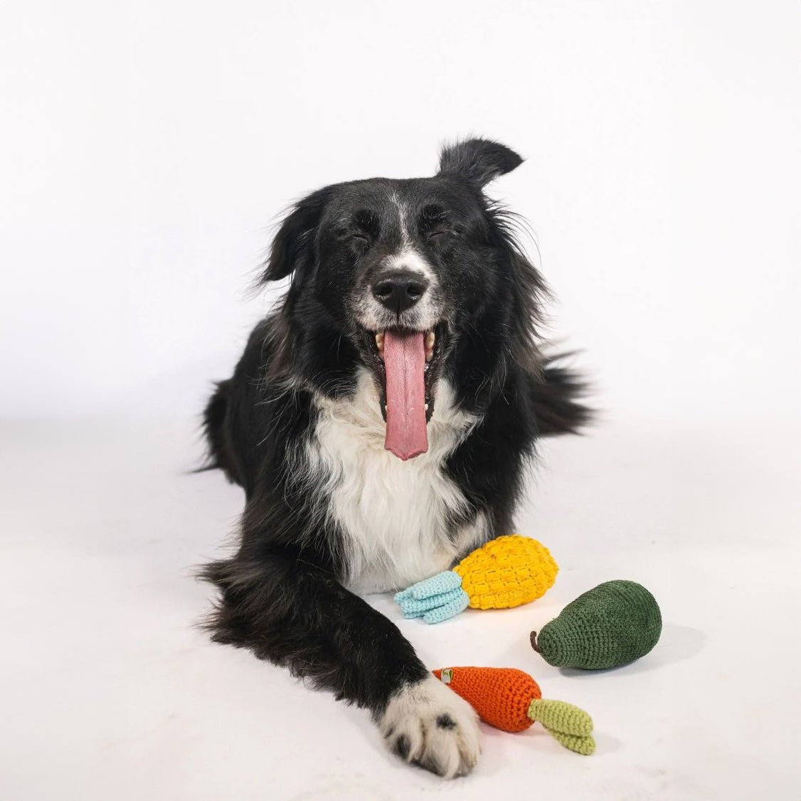 Pack 3 Juguetes Veggie Orgánicos para Perros